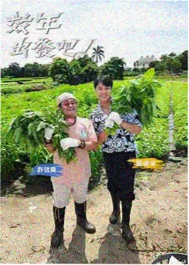 动作片大全幕后 特技排练笔记封面